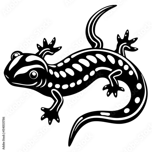 lizard on a white background