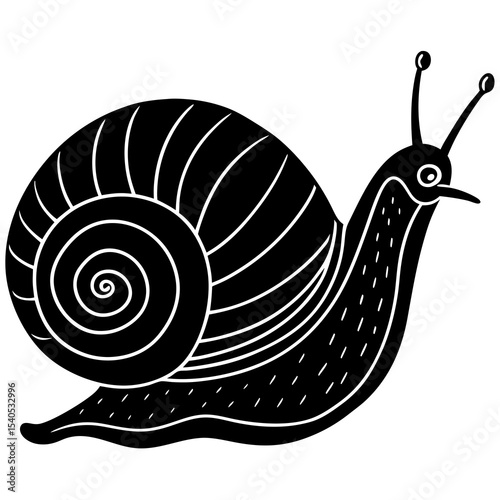 snail on a white background