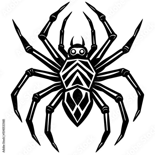 spider isolated on white background