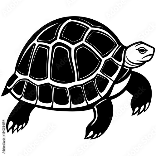 turtle vector illustration