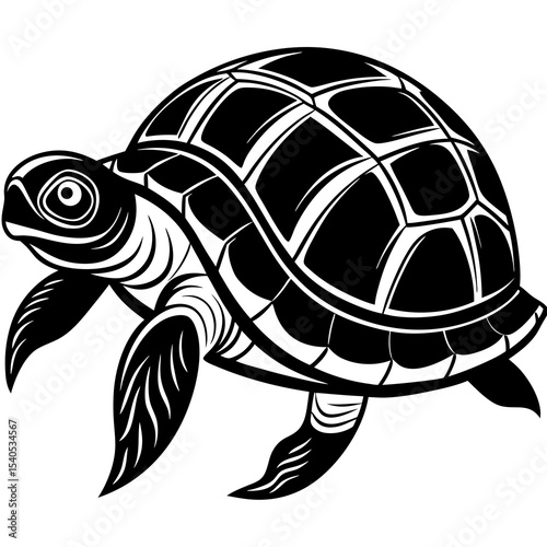 turtle vector illustration