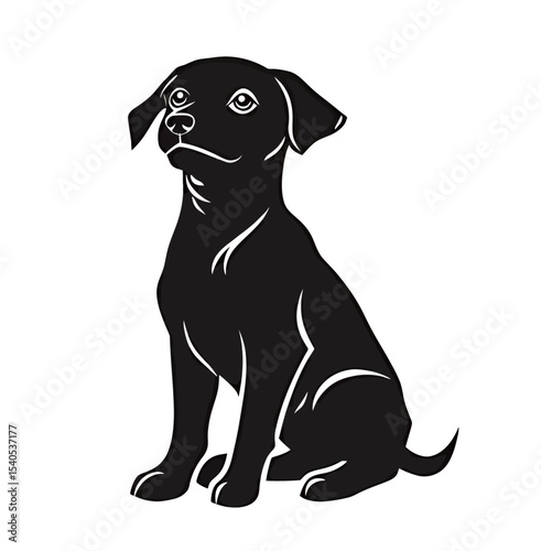 A sleek black dog sitting patiently with an attentive expression.