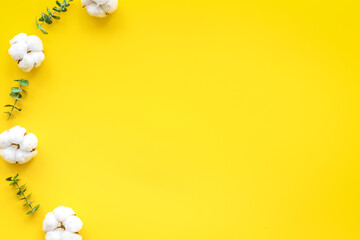 Flowers border with green eucalyptus branches and dry cotton flowers on yellow background top view copy space
