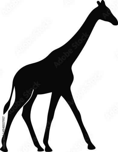 Silhouette of a blank screen design interface vector illustration