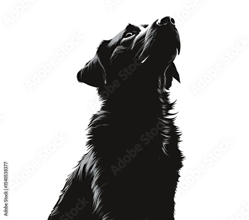 Silhouetted black dog with a keen gaze against a white background.