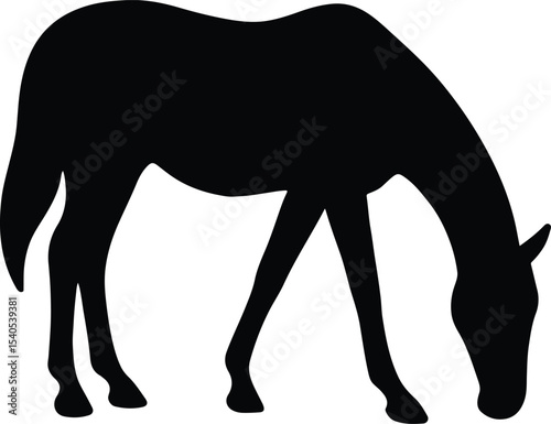 Silhouette of a blank space empty design vector illustration