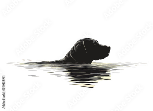 A serene black dog swimming gracefully in calm waters.