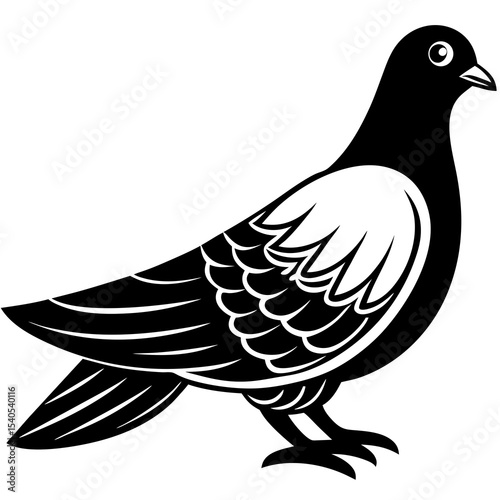 dove on a branch
