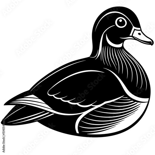 duck vector illustration