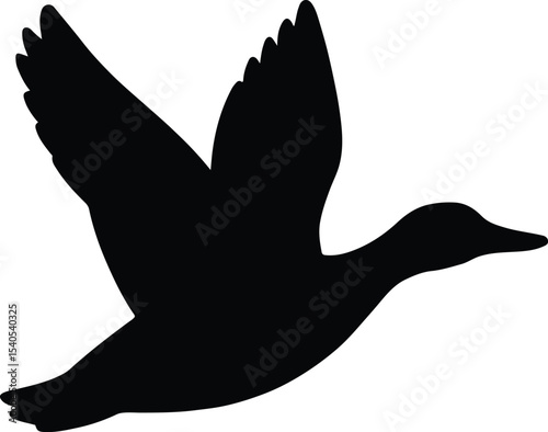 Silhouette of a completely black background vector illustration