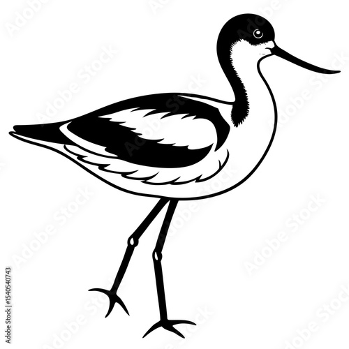 silhouette of a bird