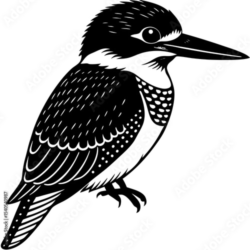 vector illustration of a bird