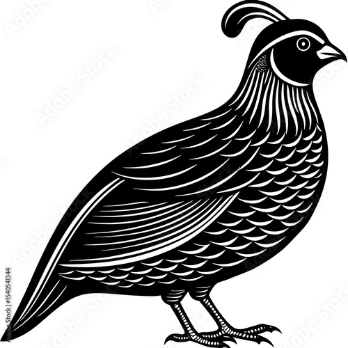 vector illustration of a bird