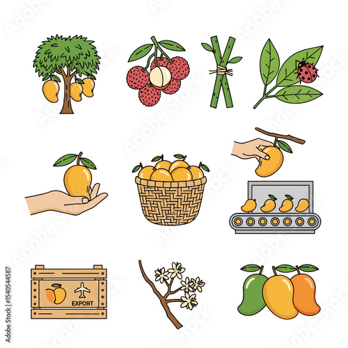 Mango Harvest & Export: A vibrant array of hand-drawn illustrations depicting various stages of mango production, from tree to export, including harvesting, packing, and transport.