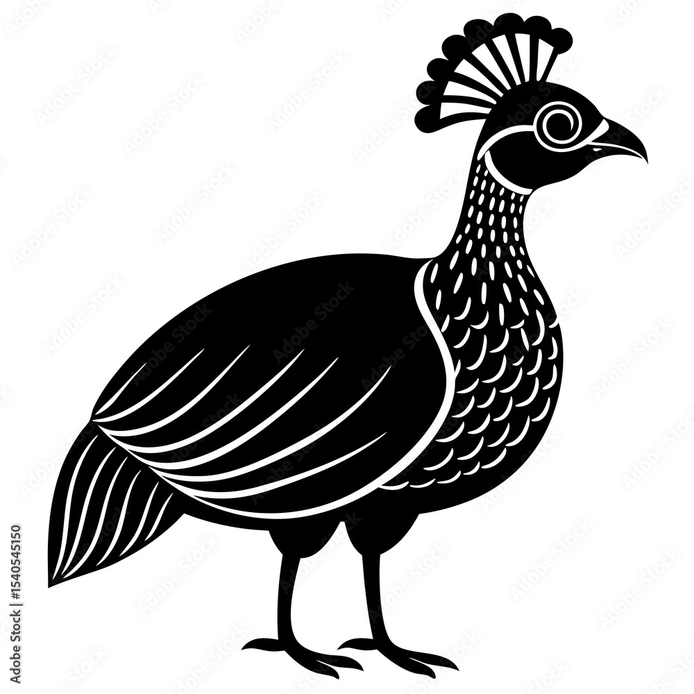 Fototapeta premium rooster isolated on white