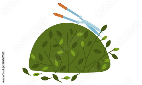 bushes are trimmed with hand scissors. Gardening tools. Flat color illustration. Garden plot. Suitable for gardening, site maintenance, weed control, agricultural machinery and manual labor