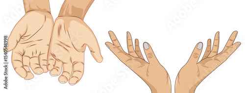 Vector illustration of open human hands and palms in different positions, showing male and female gestures on white background.
