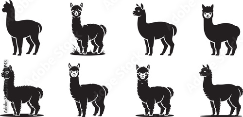 Adorable alpaca silhouettes collection farm animals. eps-10

