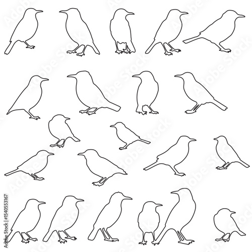 Set of black bird line art silhouette vector illustration. Editable stock vector.