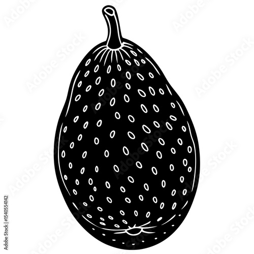 vector illustration of an orange fruit