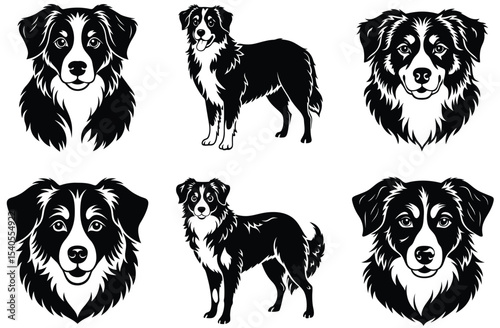 shepherd vector