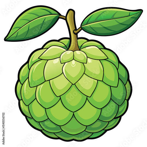 Custard apple clipart on white background