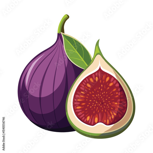 Fig fruit clipart on white background