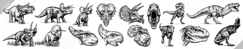 Vintage engraving isolated Triceratops set illustration reptile ink sketch. Dinosaur background silhouette Jurassic art. Black and white hand drawn vector image
