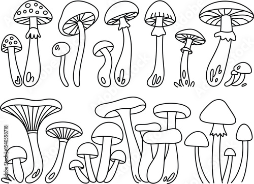 Hand-Drawn Outline Illustrations of Diverse Mushrooms and Fungi, Perfect for Nature-Themed Coloring Books, Woodland Designs, and Educational Botanical Graphics
