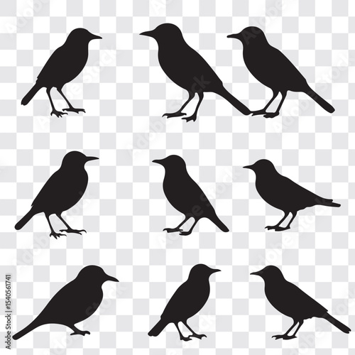 Set Of Bird Vector Bundle. black bird silhouettes. Vector logo birds in flight, bird icon, flying birds silhouette, vector bird illustration, avian symbol. flying birds with spread wings.