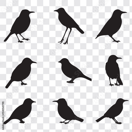 Set Of Bird Vector Bundle. black bird silhouettes. Vector logo birds in flight, bird icon, flying birds silhouette, vector bird illustration, avian symbol. flying birds with spread wings.