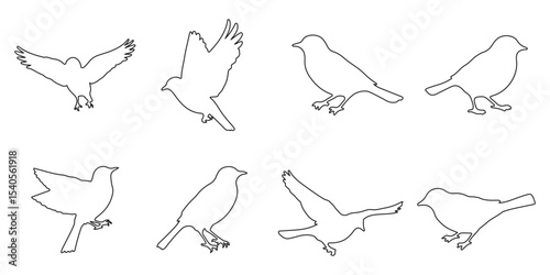 Set of black bird line art silhouette vector illustration. Editable stock vector.