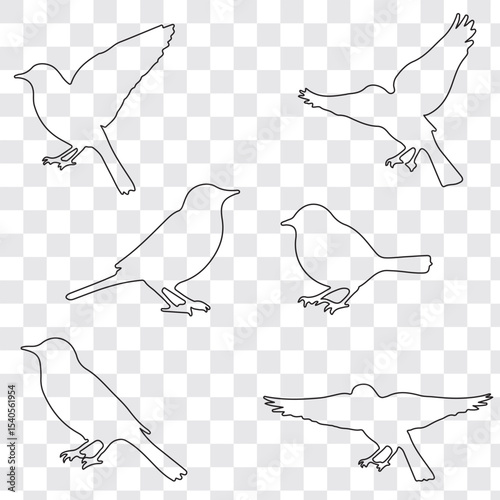 Set of black bird line art silhouette vector illustration. Editable stock vector.