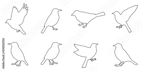 Set of black bird line art silhouette vector illustration. Editable stock vector.
