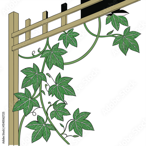 vector illustration of a tree