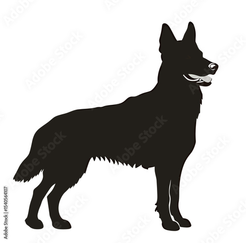 Silhouette of a standing black dog with a proud posture and tail held high.