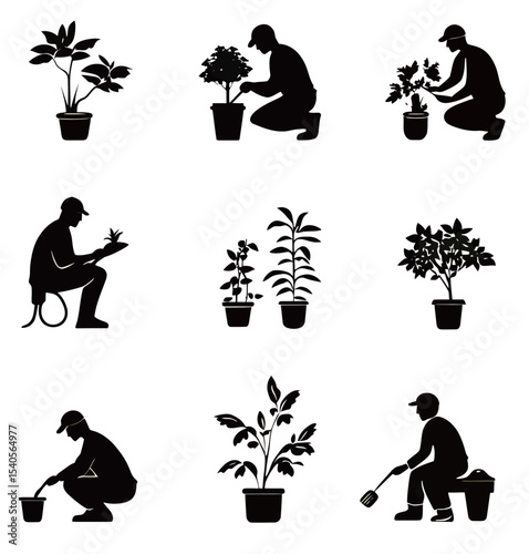 Gardener engaged in various planting activities, showcasing the joy of nurturing plants.