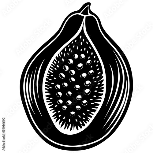 vector illustration of a fig
