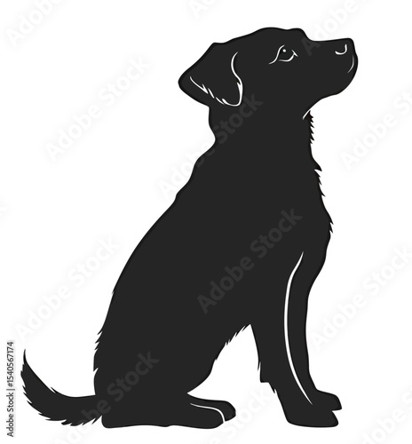 Silhouette of a sitting dog with an attentive posture.