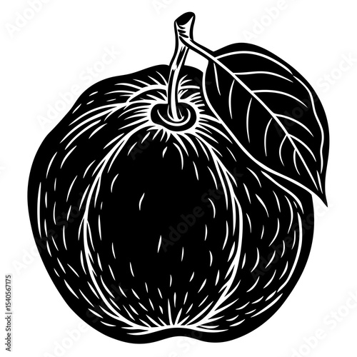 vector illustration of an apple fruit