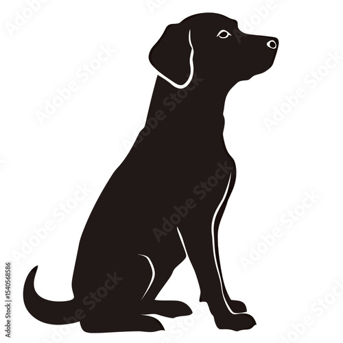 A silhouette of a sitting black dog with elegant posture and attentive expression.
