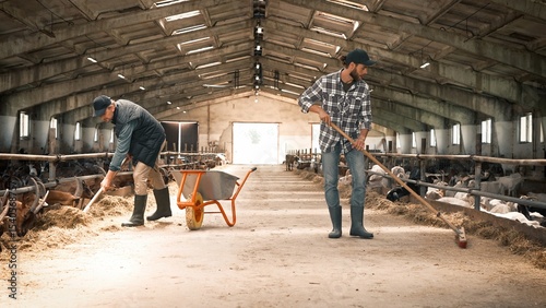 Εκτύπωση καμβά Attractive Caucasian farmers cleaning goatshed