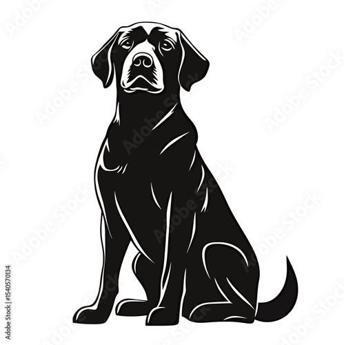 A proud black Labrador retriever sitting confidently, showcasing its strength and loyalty.