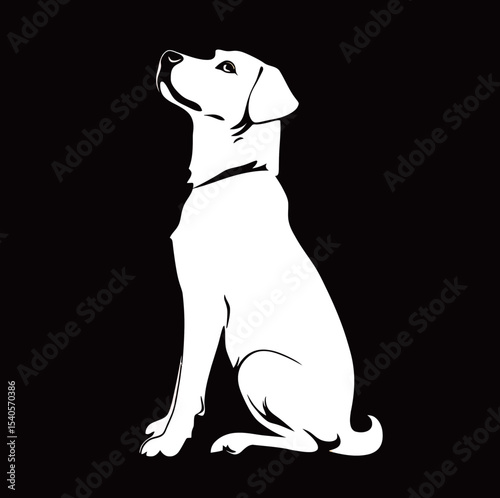 A serene white Labrador sitting elegantly against a black background.