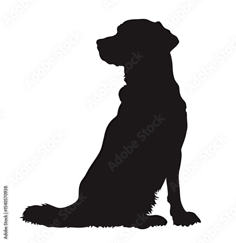 Silhouette of a sitting dog, highlighting its graceful posture and attentive demeanor.