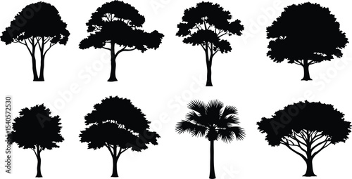 Tree silhouette vector collection, different tree shapes, black tree icons, nature design, tropical plant clipart, isolated forest illustration