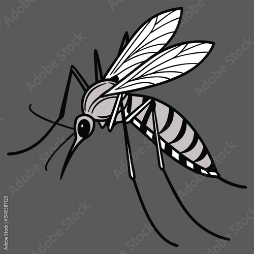 Close-up Asian tiger mosquito feeding skin, blurred background