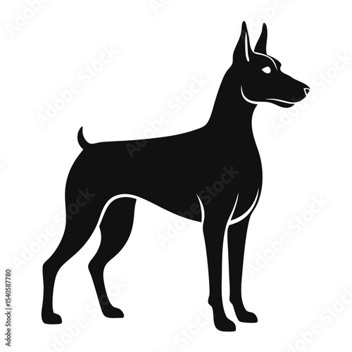 vector illustration of a dog