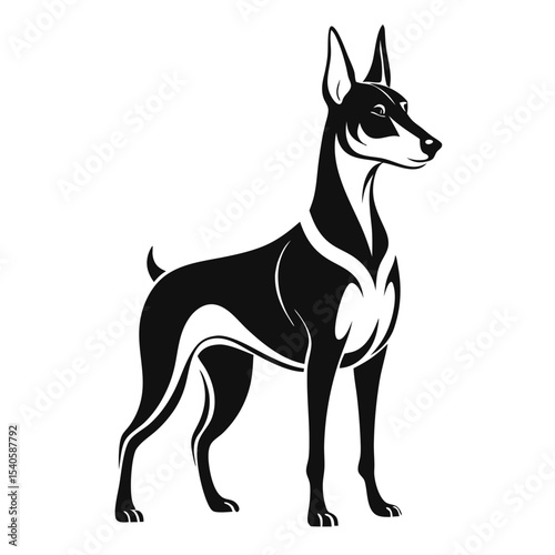 vector illustration of a dog