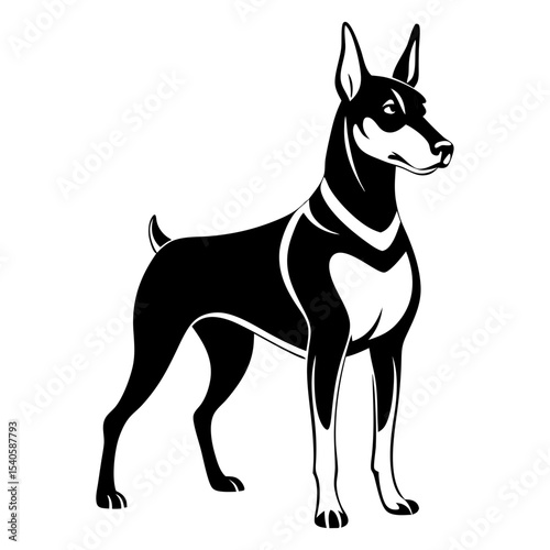 vector illustration of a dog